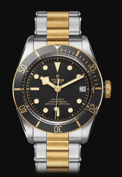 Tudor BLACK BAY S&G M79733N-0008 Replica Watch